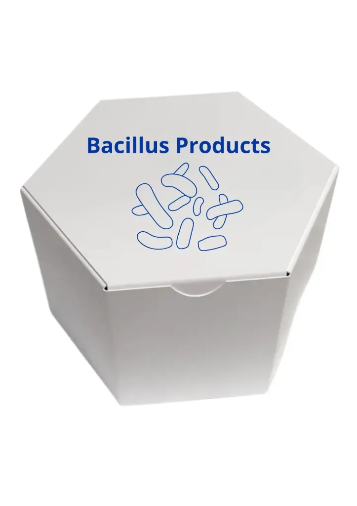 Bacillus sp.