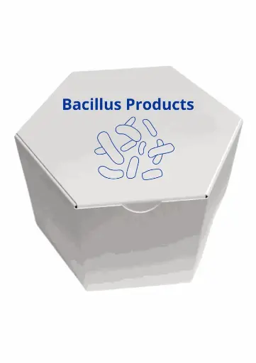 [BAC-200 Reactions-280] Bacillus Subtilis qPCR Kit
