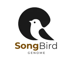Song Bird Genome